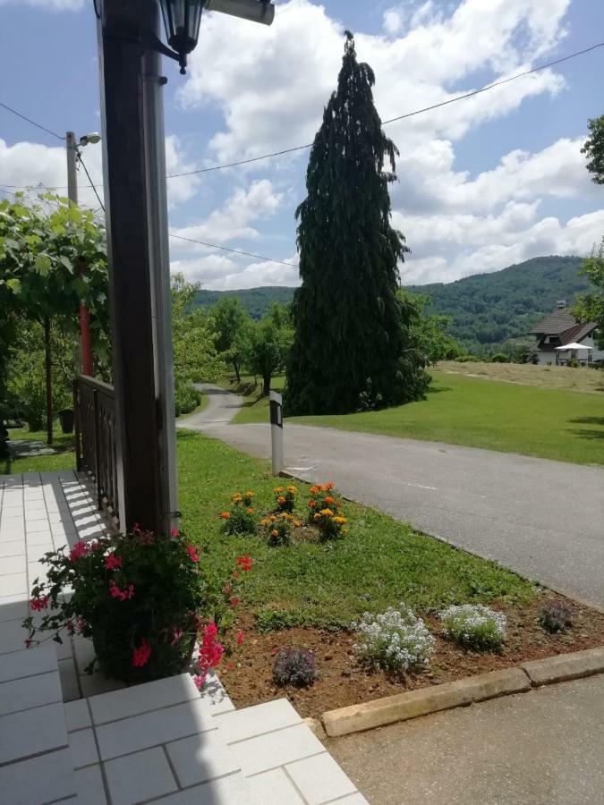 House Viktoria Hotel Seliste Dreznicko Luaran gambar